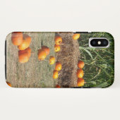 カボチャ、トウモロコシ、干し草の秋の収穫写真 Case-Mate iPhoneケース (裏面(横))
