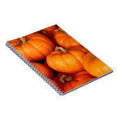 カボチャ ノートブック (右側)