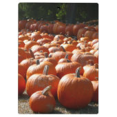 カボチャ・パッチ秋の収穫写真 クリップボード (裏面)