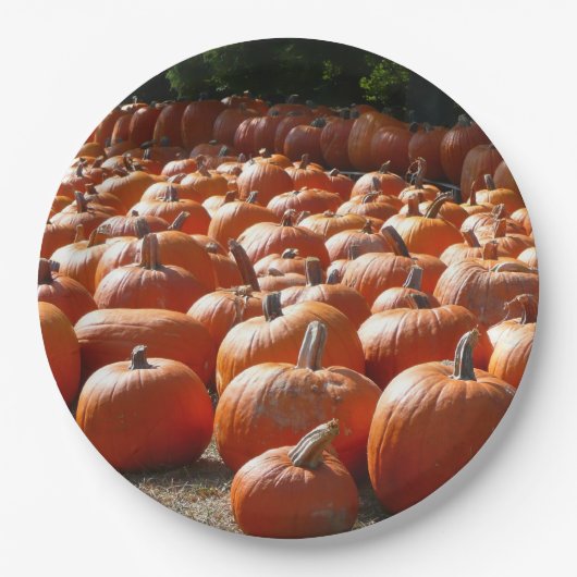 カボチャ・パッチ秋の収穫写真 ペーパープレート (正面)