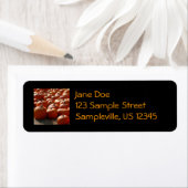 カボチャ・パッチ秋の収穫写真 ラベル (インサイチュ)