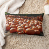 カボチャ・パッチ秋の収穫写真 ランバークッション (ブランケット)