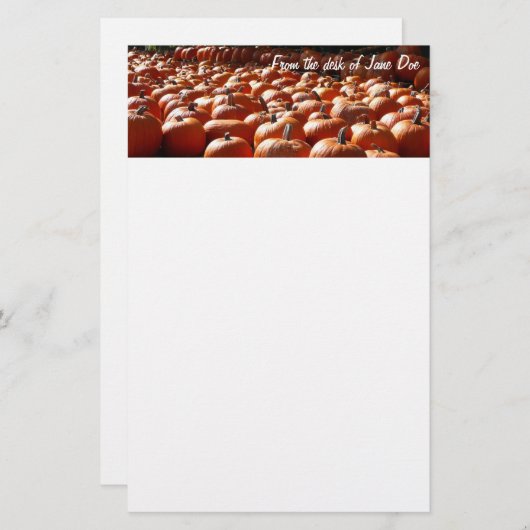 カボチャ・パッチ秋の収穫写真 便箋 (正面/裏面)