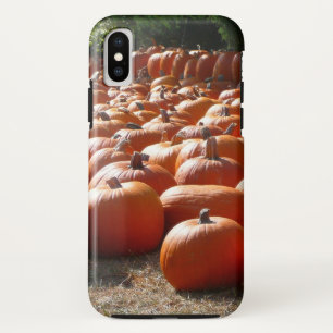 カボチャ・パッチ秋の収穫写真 iPhone XSケース