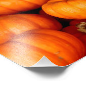 カボチャ フォトプリント            (角)