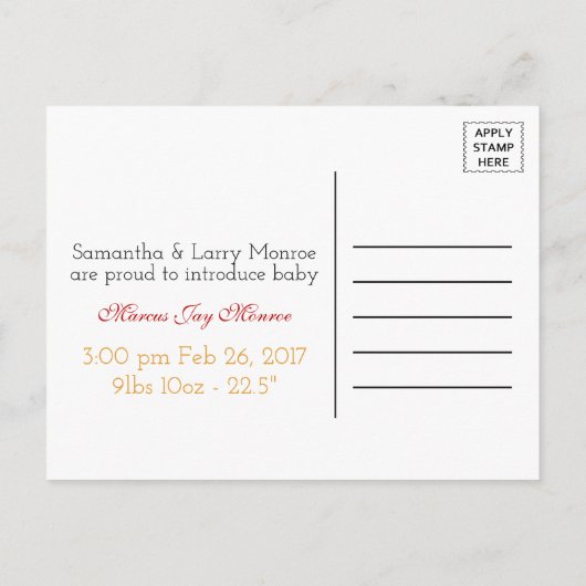 カボチャ・フクロウ&ギンガムこれは男の赤ちゃん発表 案内ポストカード (裏面)