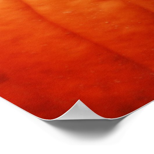 カボチャ ポスター (角)