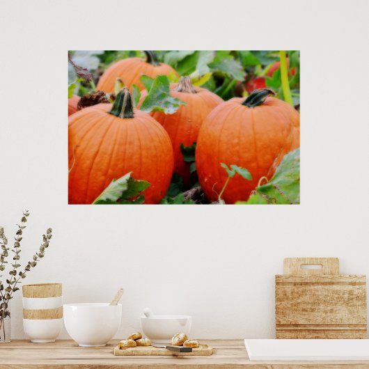 カボチャ ポスター (キッチン)