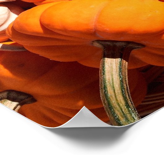 カボチャ ポスター (角)