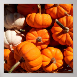 カボチャ ポスター