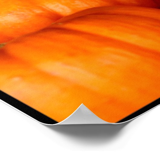 カボチャ ポスター (角)