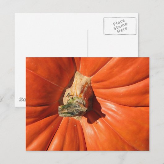 カボチャ ポストカード (正面/裏面)