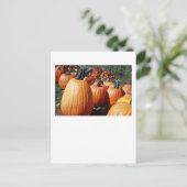 カボチャ ポストカード (スタンド正面)