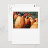 カボチャ ポストカード (正面/裏面)