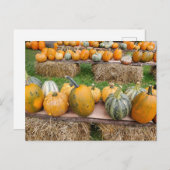 カボチャ ポストカード (正面/裏面)