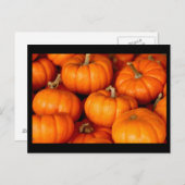 カボチャ ポストカード (正面/裏面)