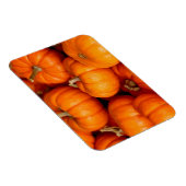 カボチャ マグネット (右側)