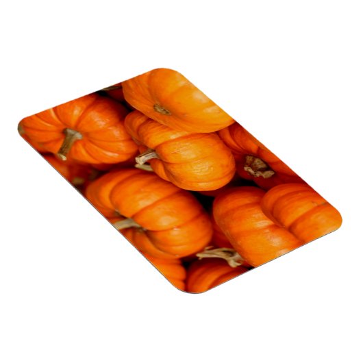 カボチャ マグネット (右側)