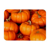 カボチャ マグネット (横)