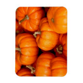 カボチャ マグネット (縦)