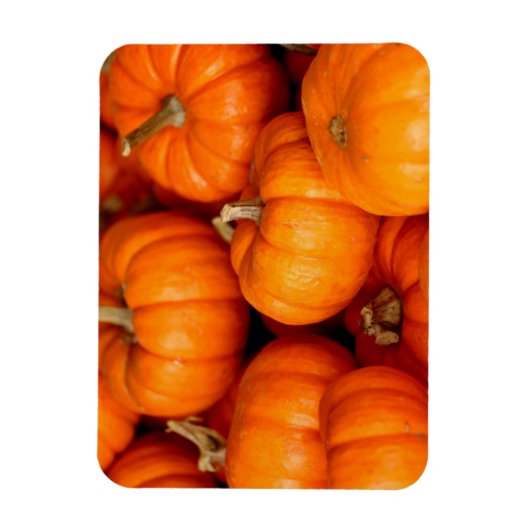 カボチャ マグネット (縦)