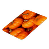 カボチャ マグネット (左側)