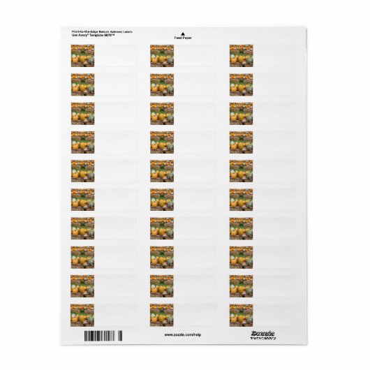 カボチャ ラベル (フルシート)