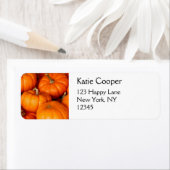 カボチャ ラベル (インサイチュ)