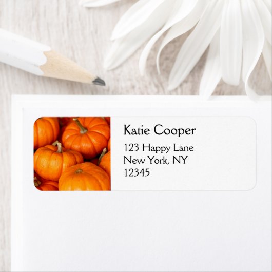カボチャ ラベル (インサイチュ)