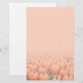 カボチャ 便箋 (正面/裏面)