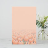 カボチャ 便箋 (スタンド正面)