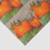 カボチャ 薄葉紙 (詳細)