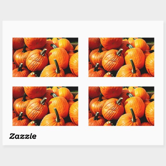 カボチャ!!! 長方形シール (シート)