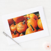 カボチャ!!! 長方形シール (封筒)