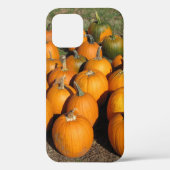 カボチャ Case-Mate iPhoneケース (裏面)