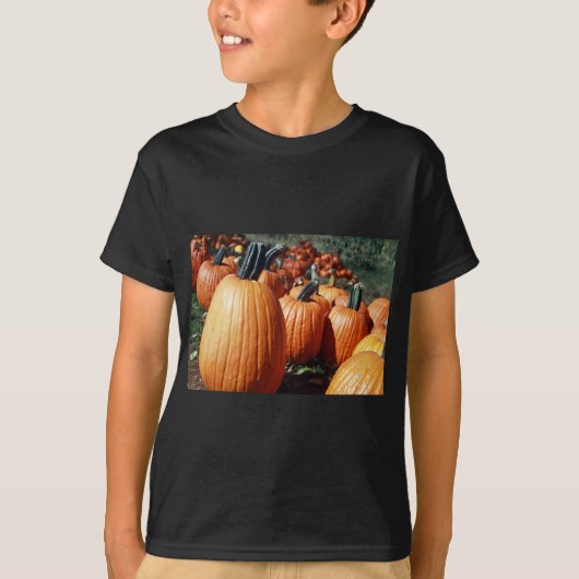 カボチャ Tシャツ (正面)