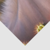 カボテンの花が咲くかわいいロバ 薄葉紙 (詳細)