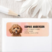 カボドール差出人住所ラベル ラベル (インサイチュ)