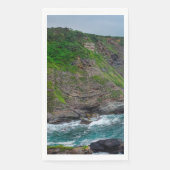 カボビドリアス (正面)