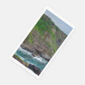 カボビドリアス (コーナー)