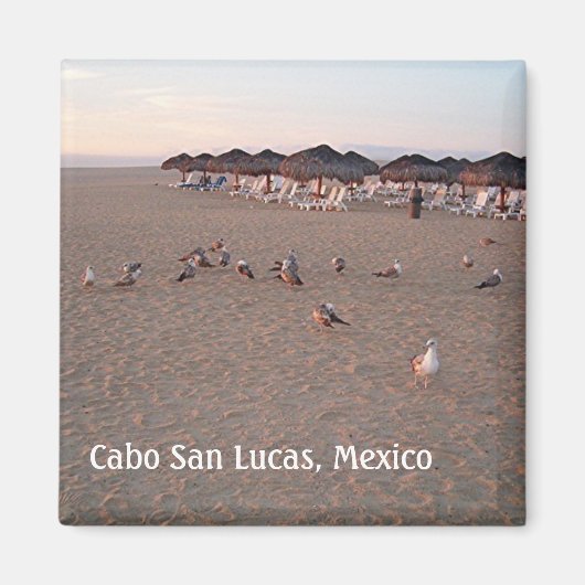 カボマグネットのビーチに鳥 マグネット (正面)