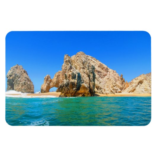 カボ磁石 マグネット (横)