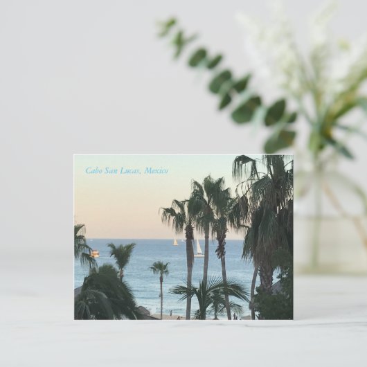 カボ葉書 ポストカード (スタンド正面)