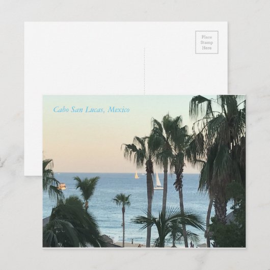 カボ葉書 ポストカード (正面/裏面)