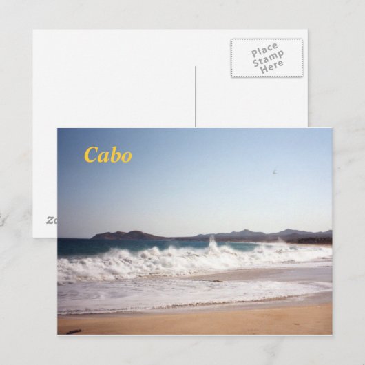 カボ葉書 ポストカード (正面/裏面)