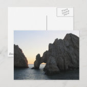 カボ ポストカード (正面/裏面)