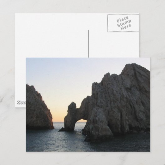 カボ ポストカード (正面/裏面)