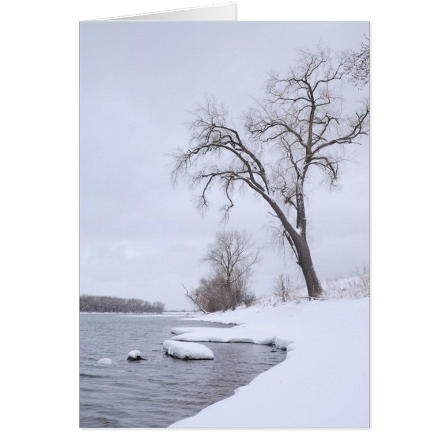 カポジ上陸（冬） (正面)