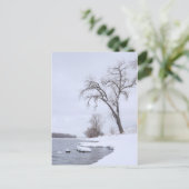 カポジ上陸（冬） ポストカード (スタンド正面)