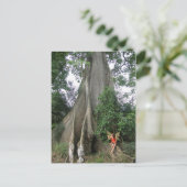 カポックの木とおとぎ娘のはがき ポストカード (スタンド正面)
